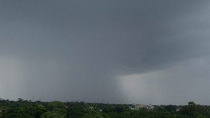 A grey rain shaft falling from dark clouds over green trees, palms and a few buildings at Rajanagaram.