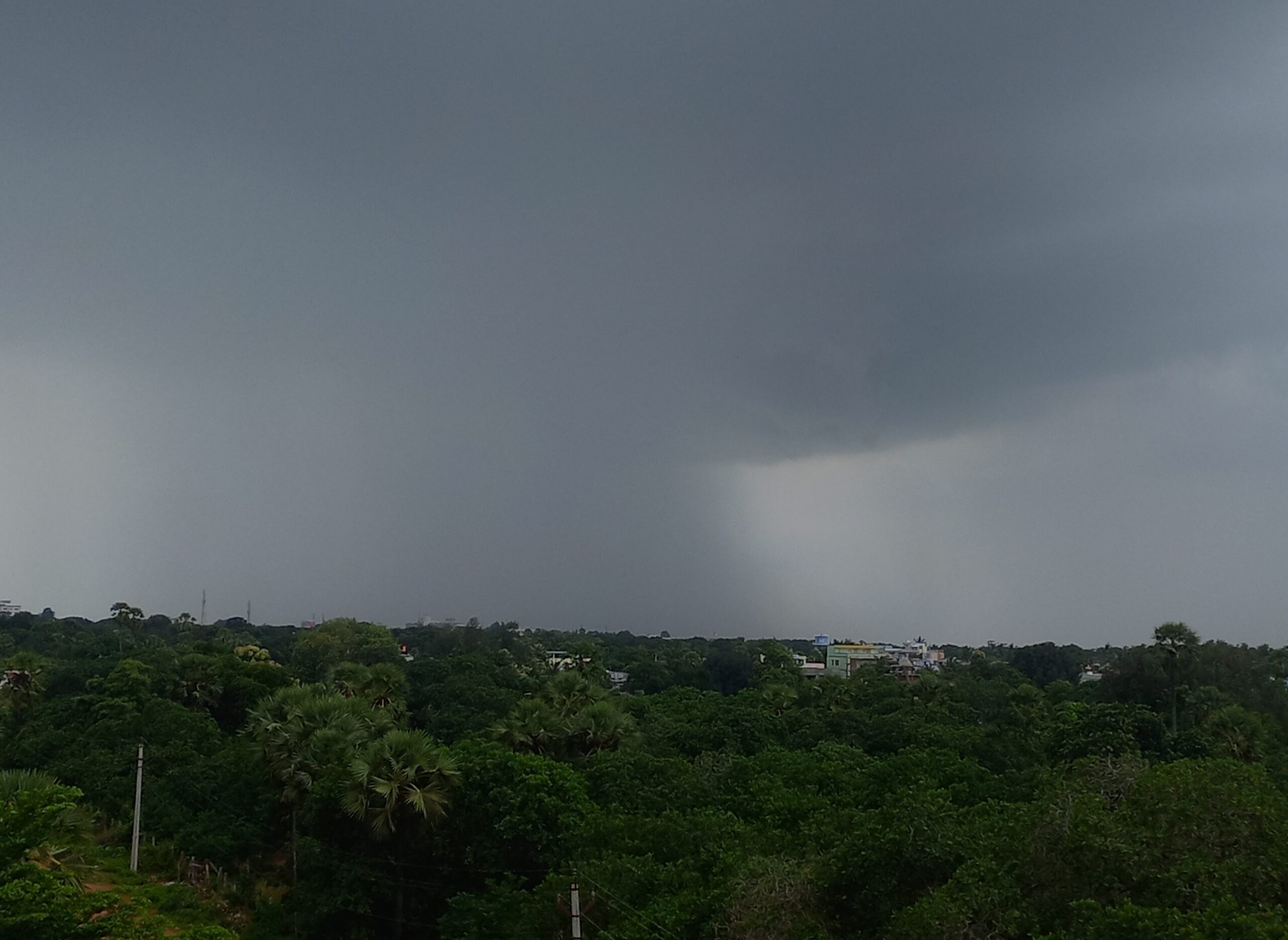 A grey rain shaft falling from dark clouds over green trees, palms and a few buildings at Rajanagaram.