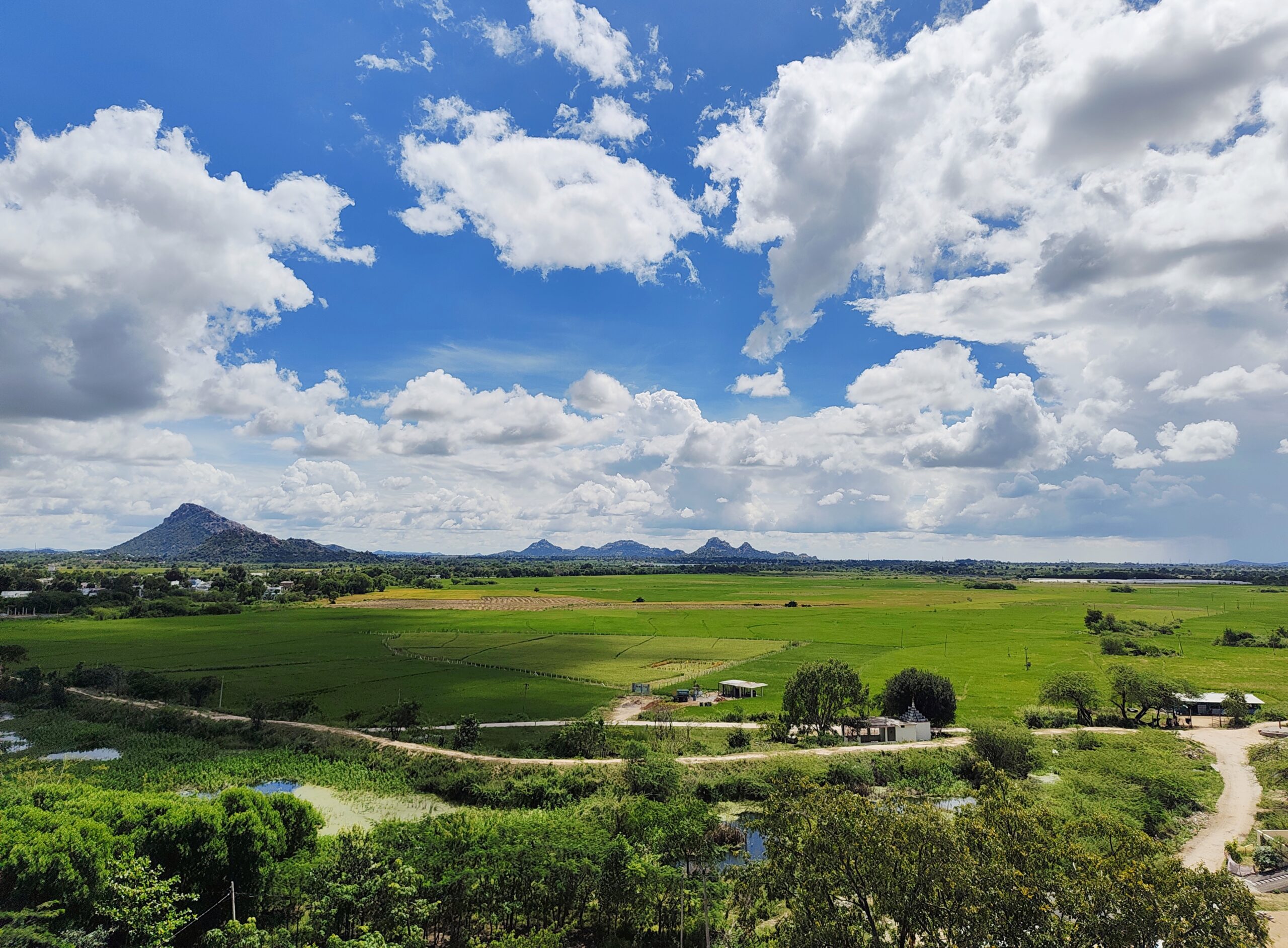 Wide view of green paddy fields with trees, a few farm sheds and rocky hills on the horizon under a cloudy blue sky.