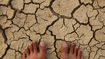 Bare feet standing on cracked, dry earth.