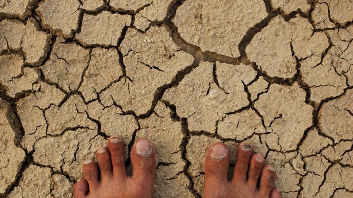 Bare feet standing on cracked, dry earth.