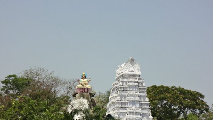 The white gopuram of the Basar Saraswati temple and a large statue of the goddess on a lotus pedestal, seen above trees.
