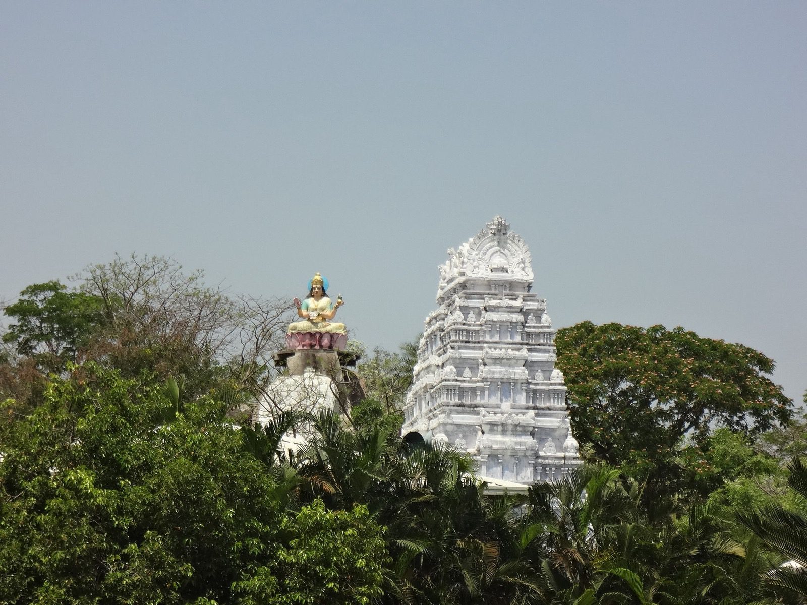The white gopuram of the Basar Saraswati temple and a large statue of the goddess on a lotus pedestal, seen above trees.