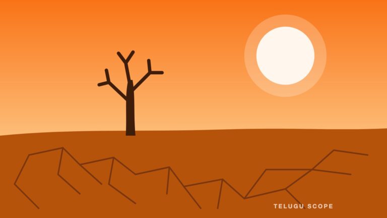 Illustration of cracked dry earth and a bare tree under a hot sun
