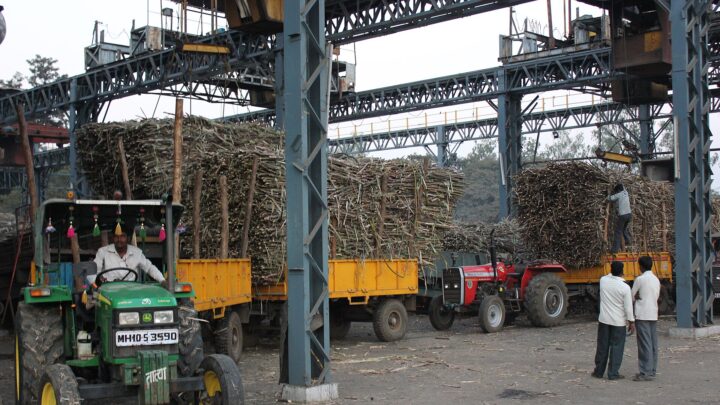 Tractors with trailers piled high with sugarcane waiting under a steel gantry at a sugar mill, with a driver in a green tractor and workers standing nearby.