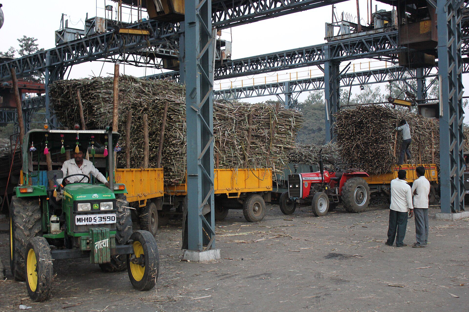 Tractors with trailers piled high with sugarcane waiting under a steel gantry at a sugar mill, with a driver in a green tractor and workers standing nearby.