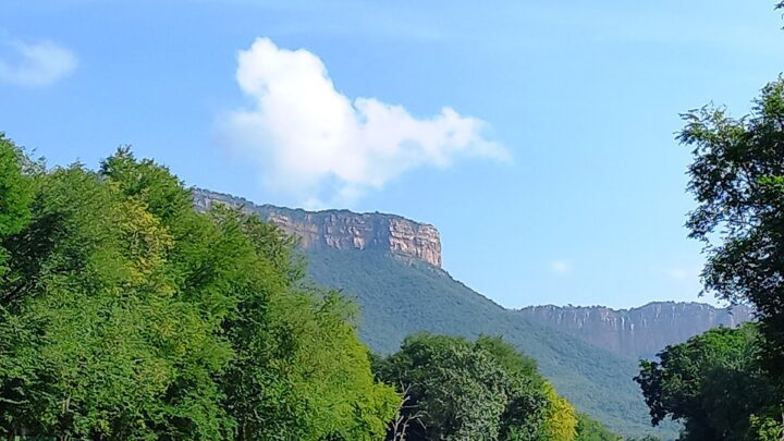 Forested Tirumala hills with a rocky escarpment under a blue sky, seen from a tree-lined road with a few motorcycles and autorickshaws.