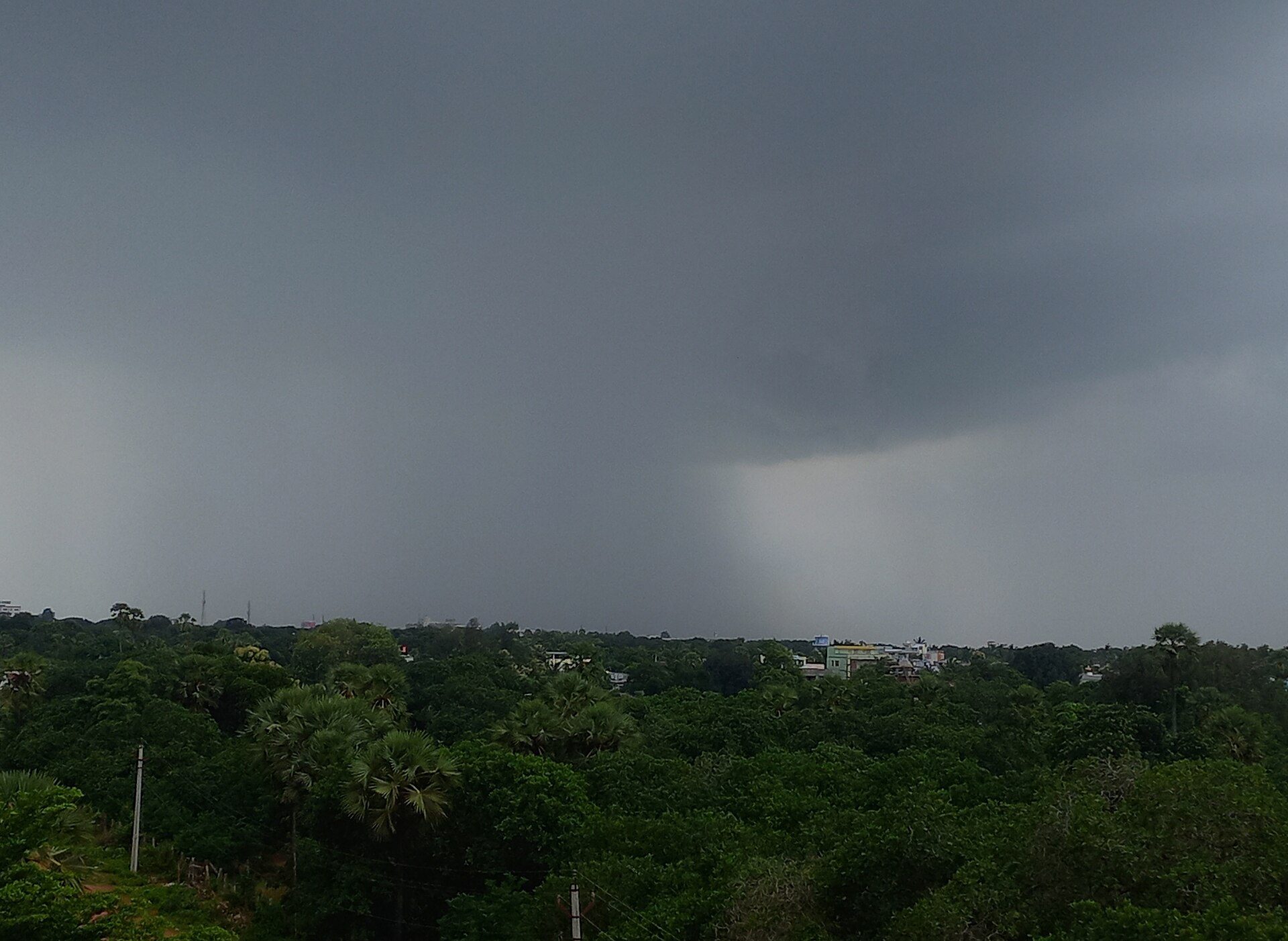 Dark rain clouds over palm trees and scattered houses in a green landscape.