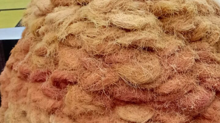 A large heap of loose pheni piled in a cardboard container at a market stall.